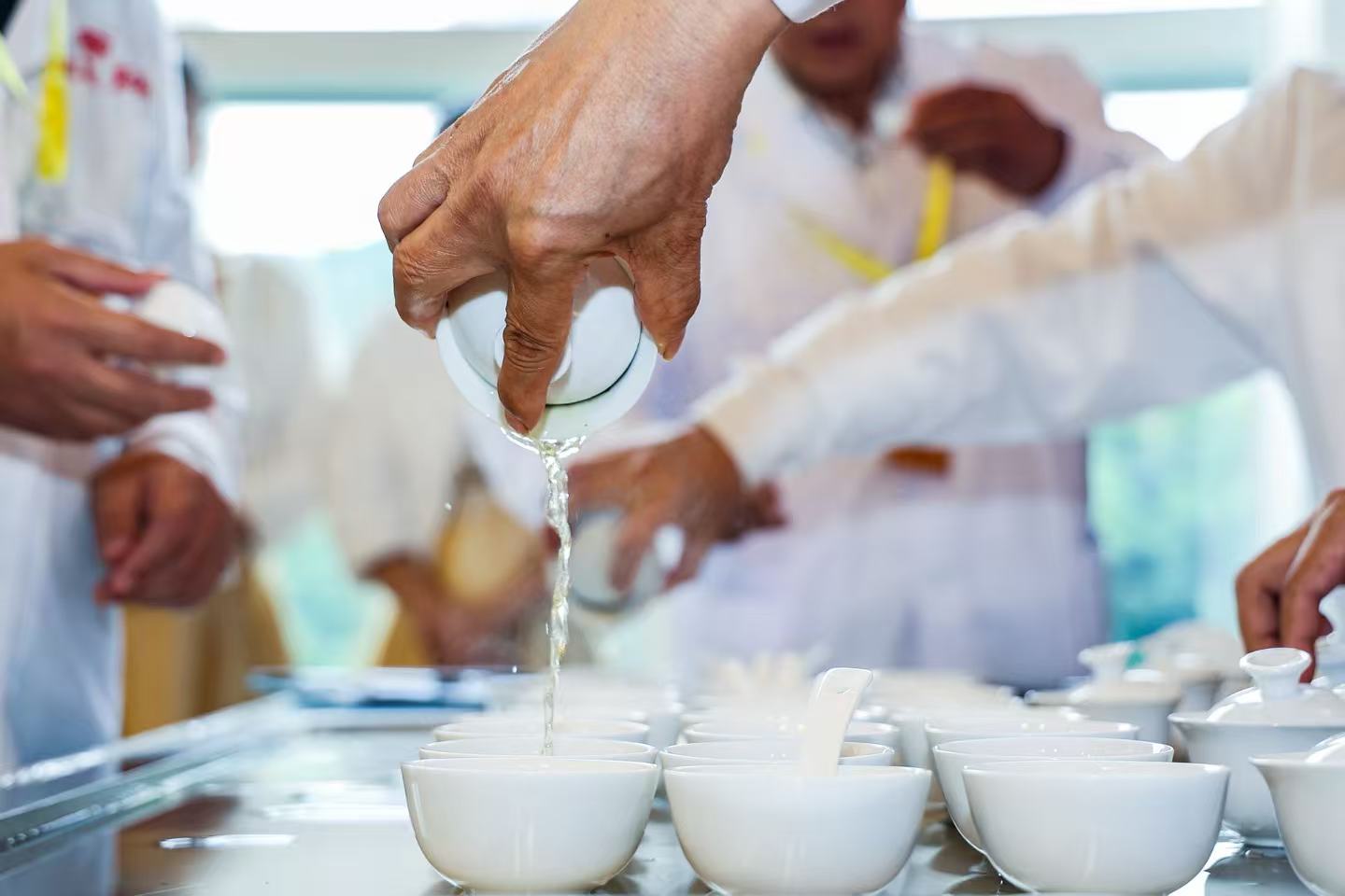 评茶师们